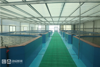 淄博市畜牧漁業(yè)服務(wù)中心積極開(kāi)展科技下鄉(xiāng)活動(dòng)