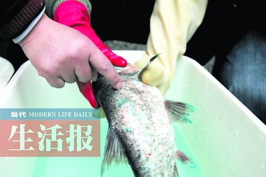 廣西啟動(dòng) 全國(guó)食品安全宣傳周 筑食品安全防波堤